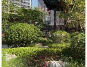 上海后花园：高档社区的设施有多完美？