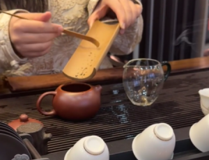 雨天品茶，上海美女的悠闲生活